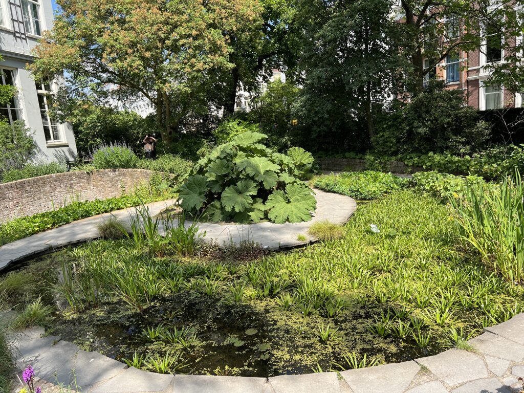 The botanical garden in Amsterdam features native plants.