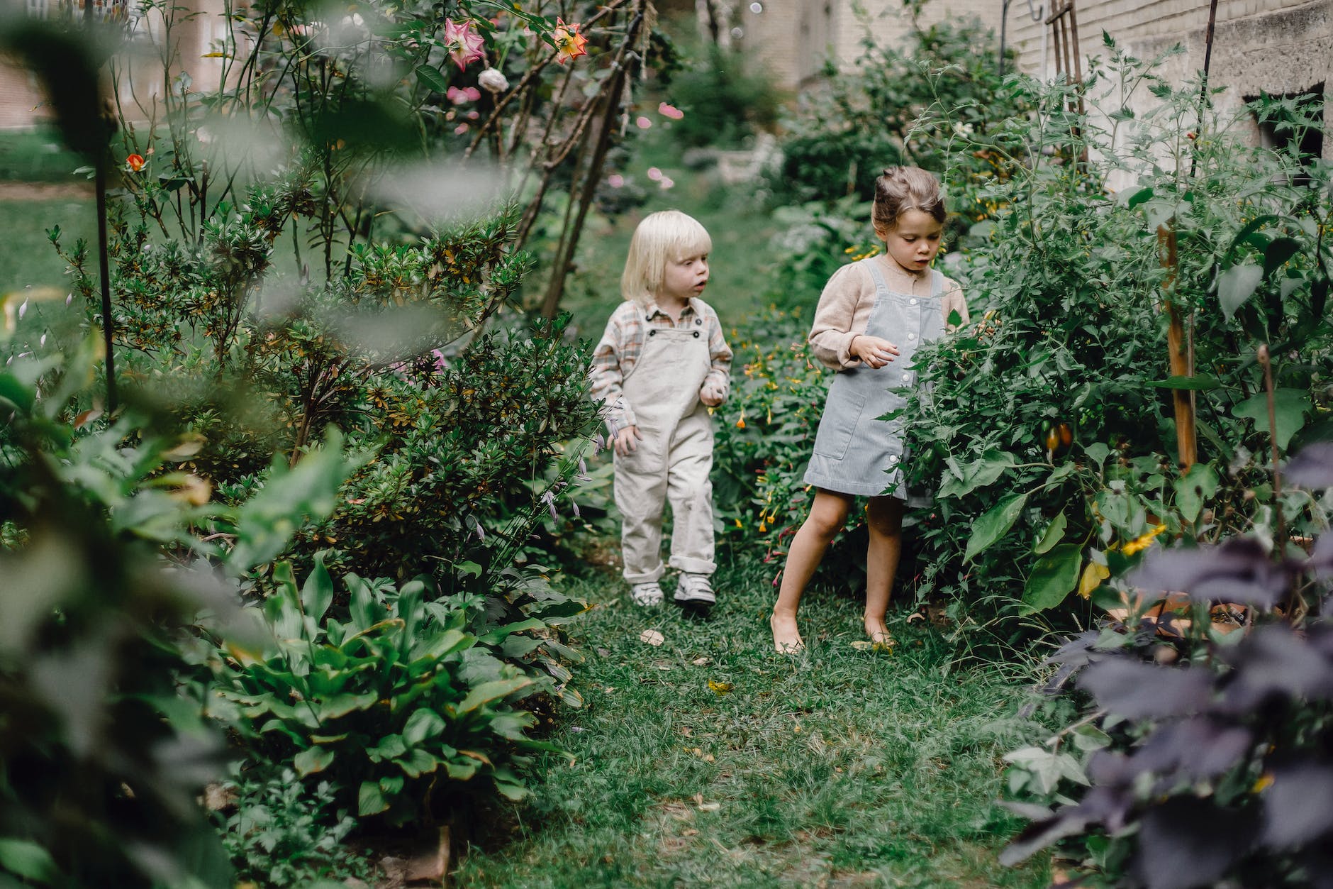 cute siblings resting in green garden