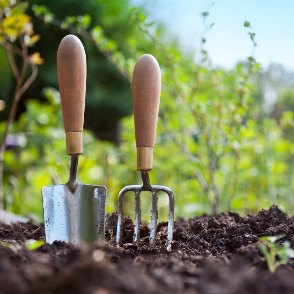 Shovel and spade