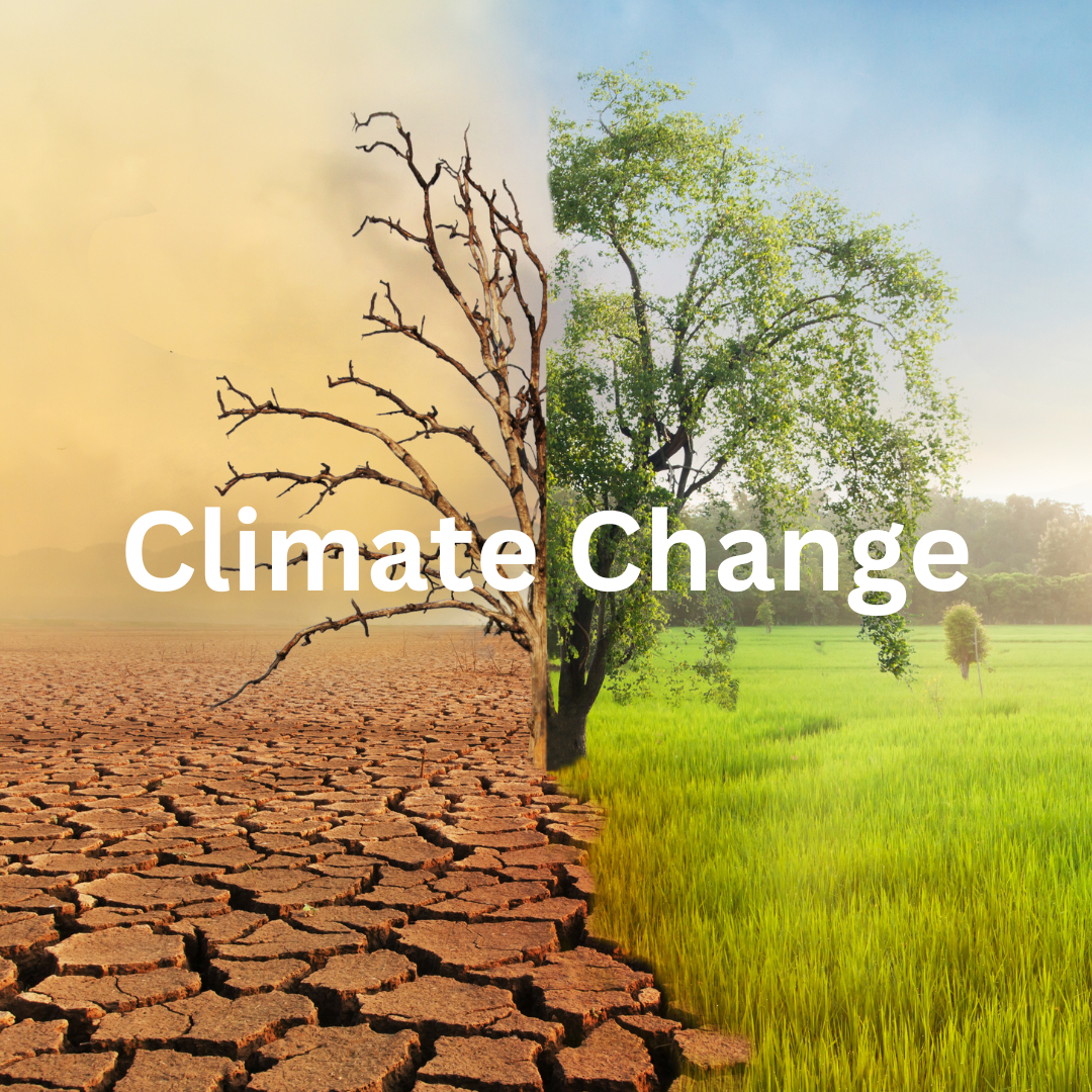 Climate Change Thumbnail Image